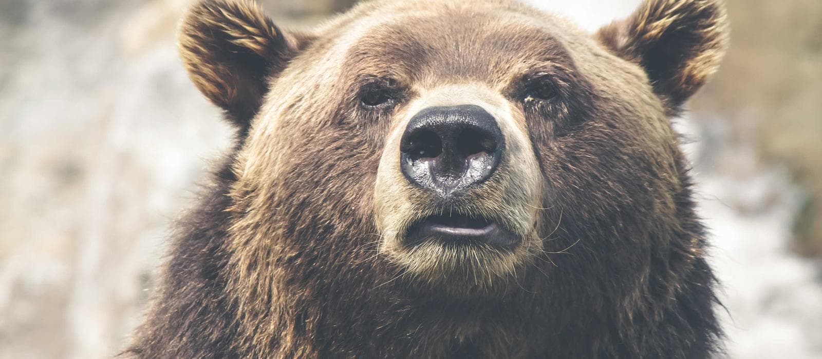 Stacks of porcelain tiles in a showroom