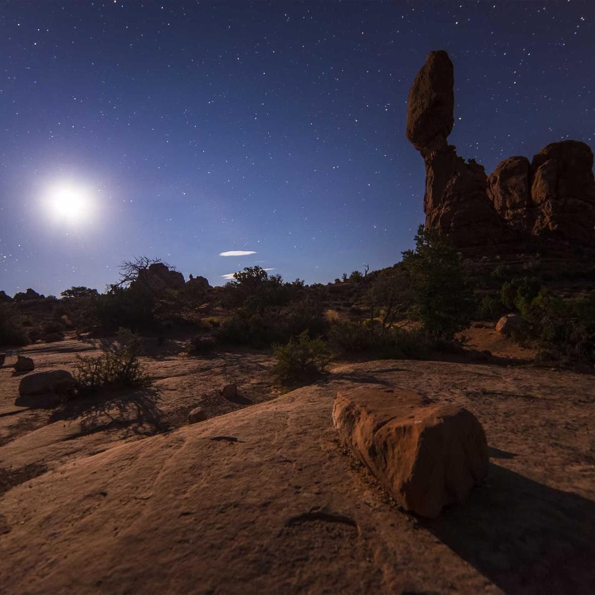 Antique Rose Terracotta image 2