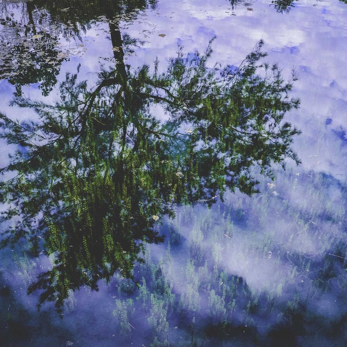 Blanco Nieve 1200×1200mm