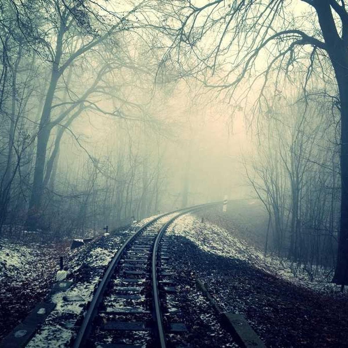 Calacatta Gold Marble image 2