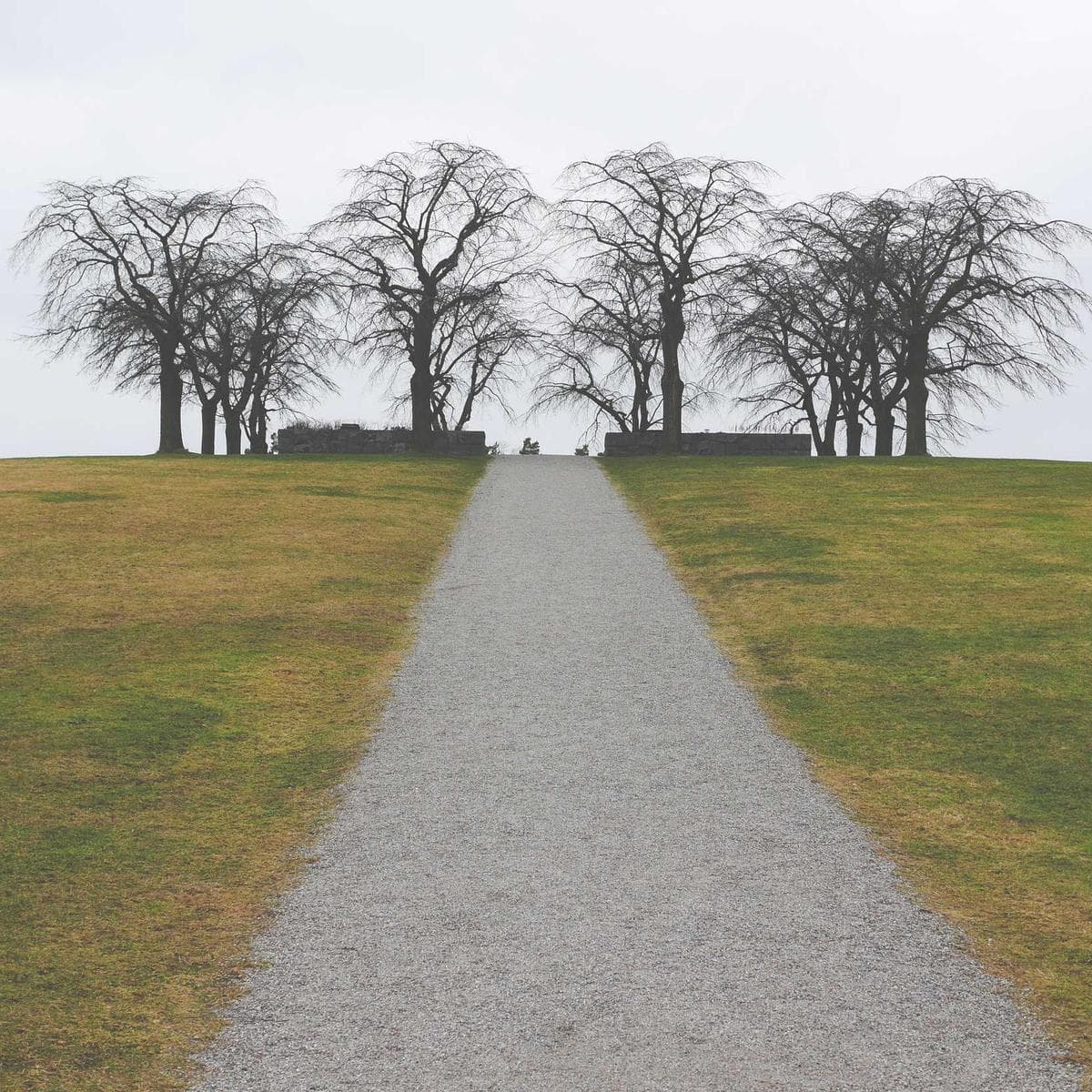 Calacatta Gold Marble image 3