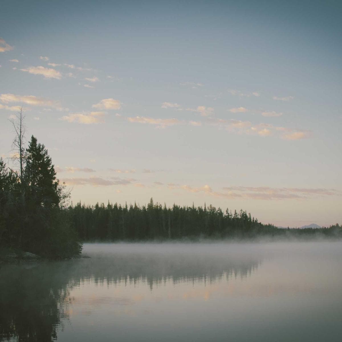 Classic White Metro image 3