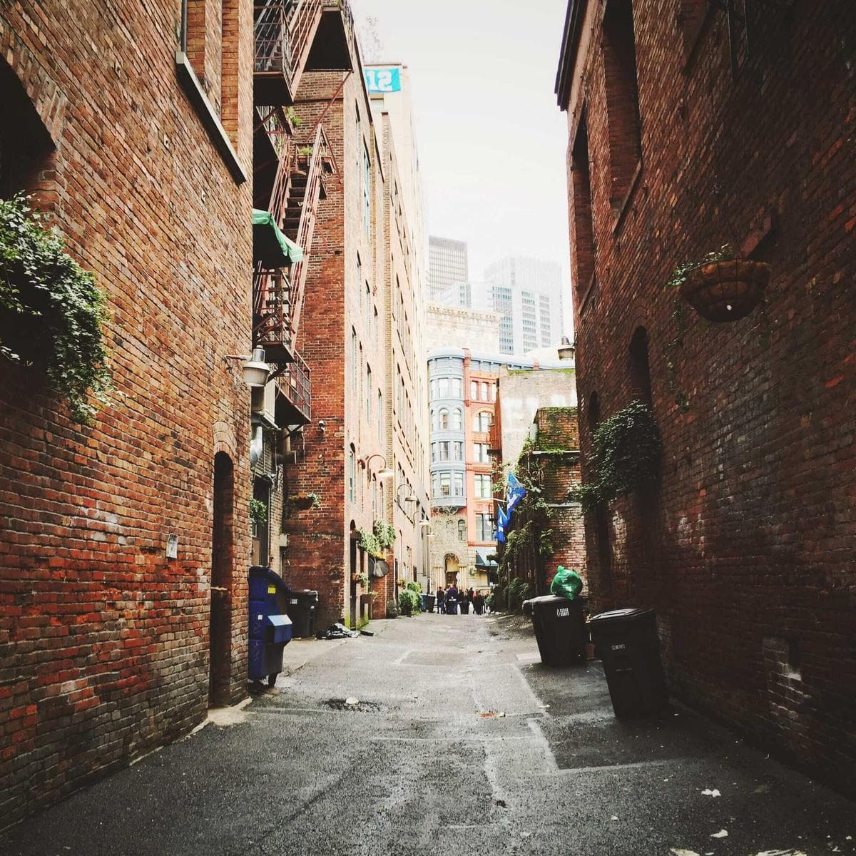 Emperador Brown Marble