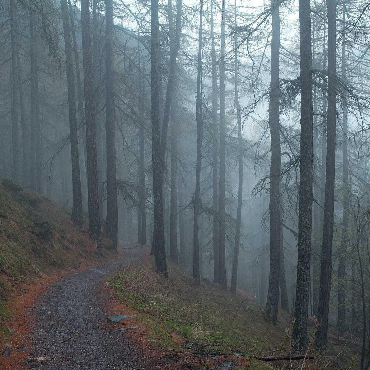 Emperador Brown Marble image 3