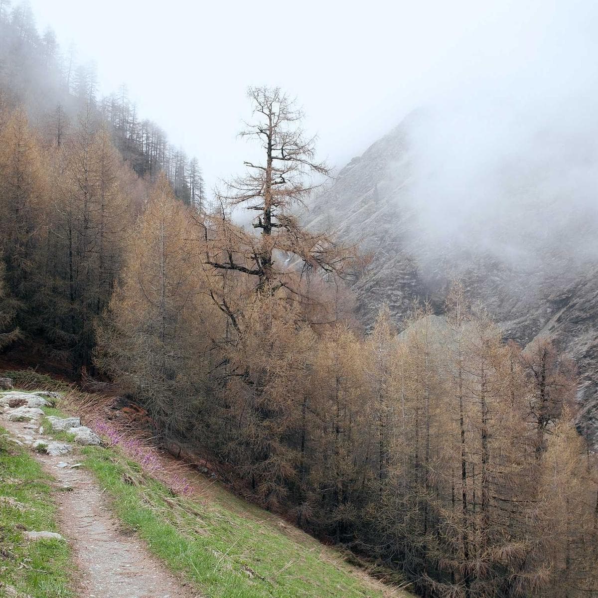 Hex Slate Mosaic image 2