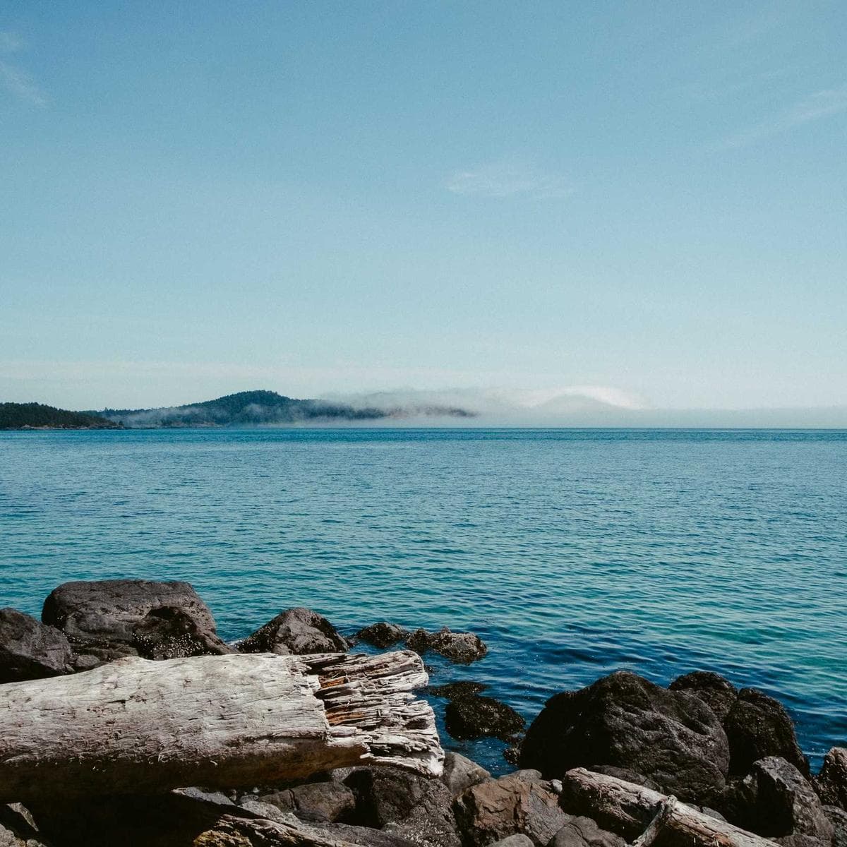 Path Limestone 20mm image 2