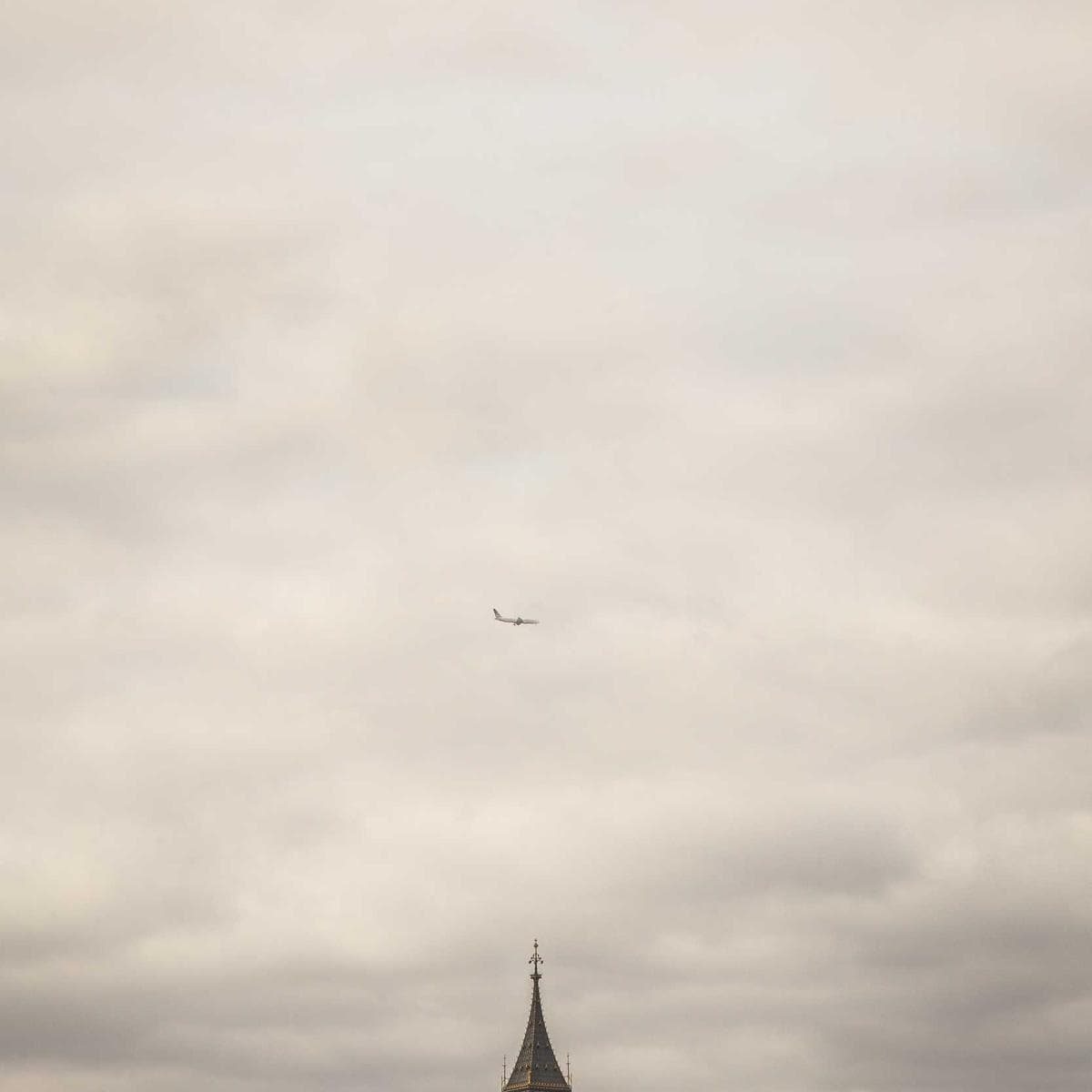 Penny Round Bone Mosaic image 2