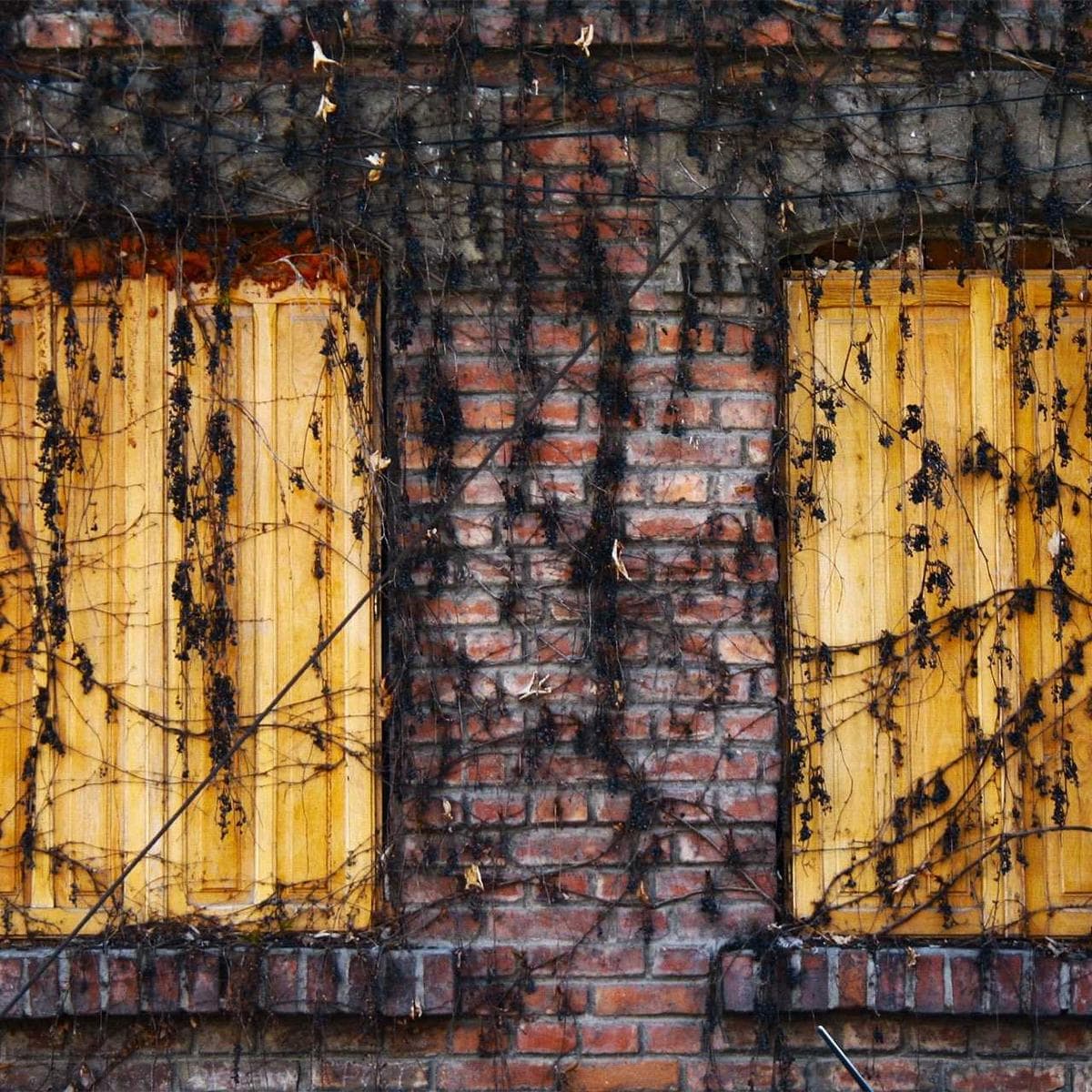 Provence Sand Terracotta image 2