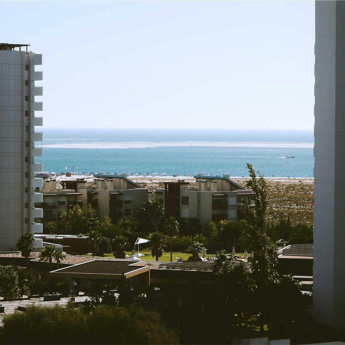 Smoked Walnut Plank image 2