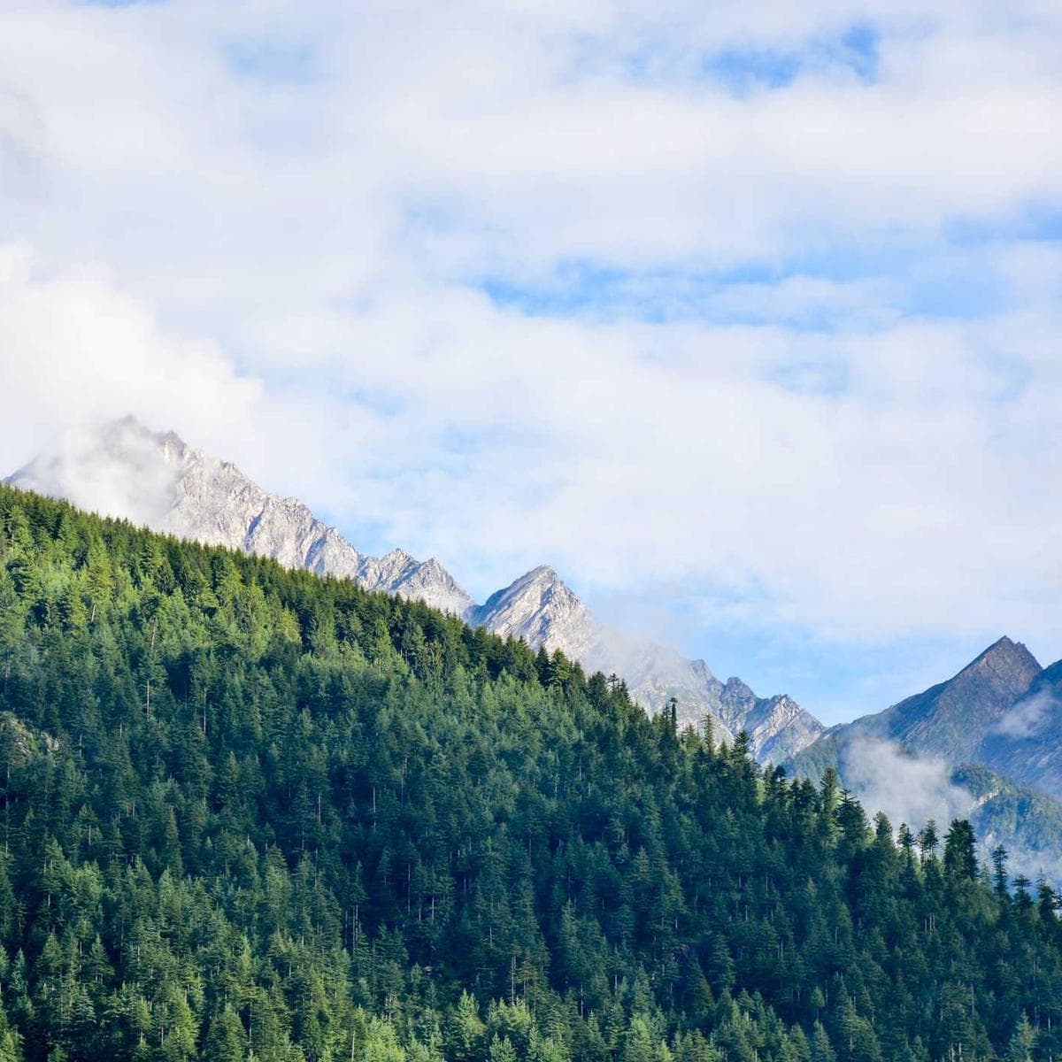 Terrace Sandstone 20mm