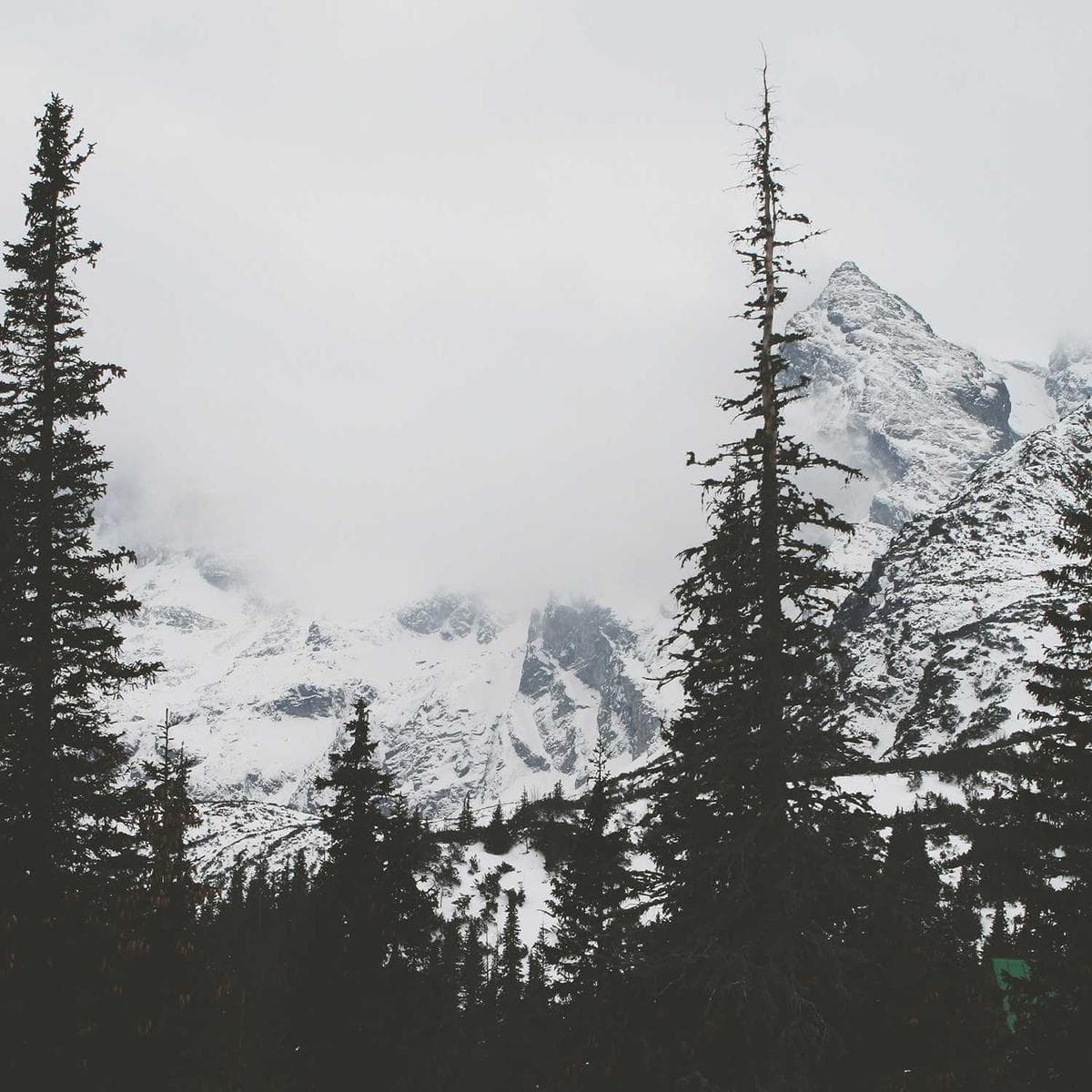 Terrace Sandstone 20mm image 2
