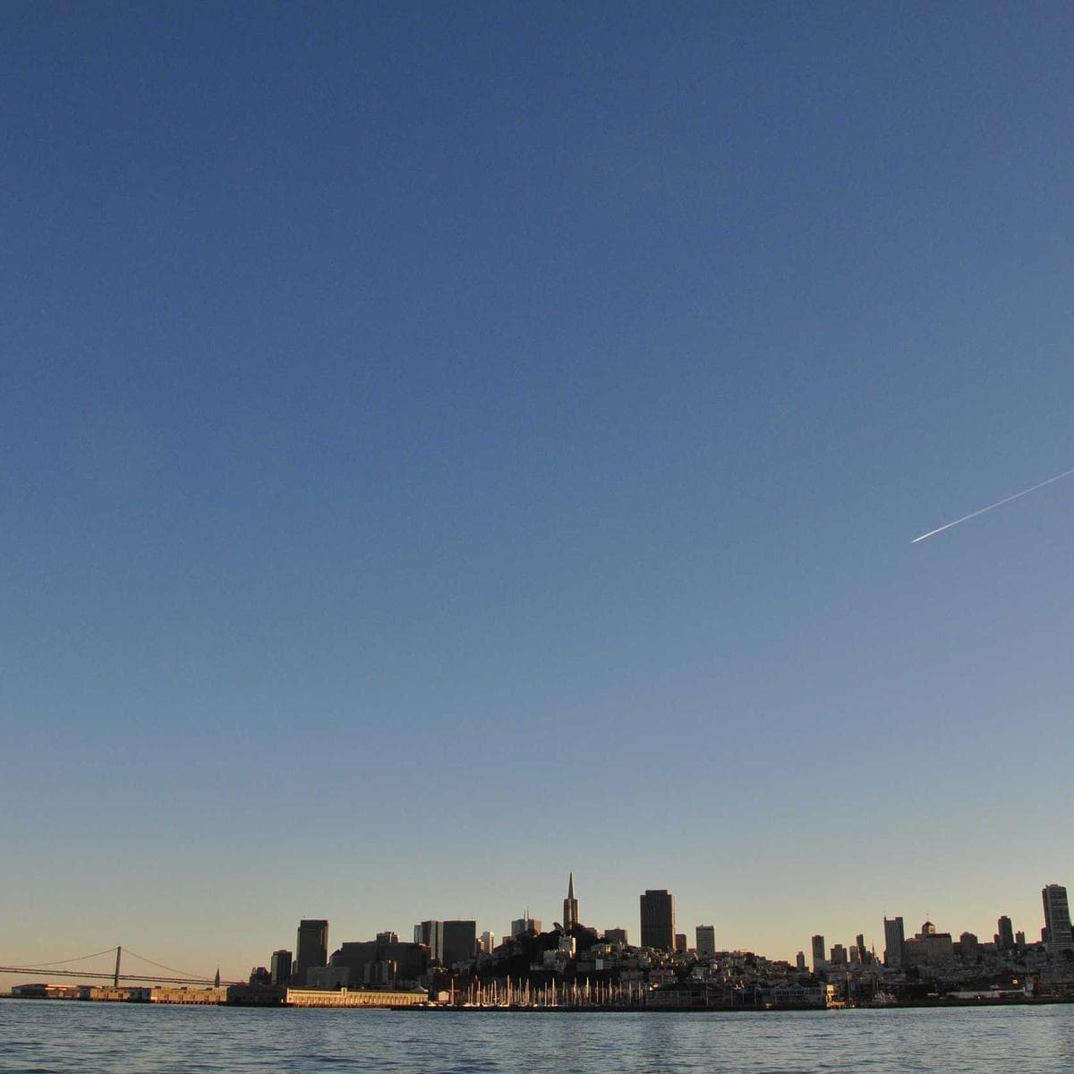 Vienna Warm Oak Porcelain